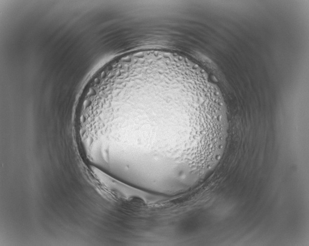 X0000060781427200512011627