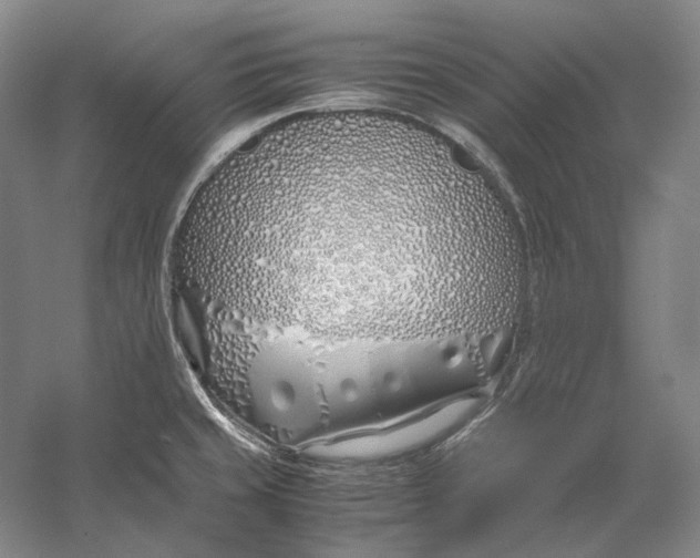 X0000060781429200512011627