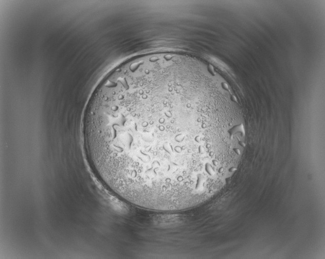 X0000060781431200512011627