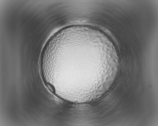 X0000060781432200512011627