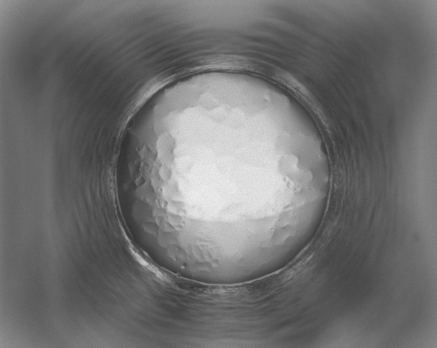 X0000060781433200512011627