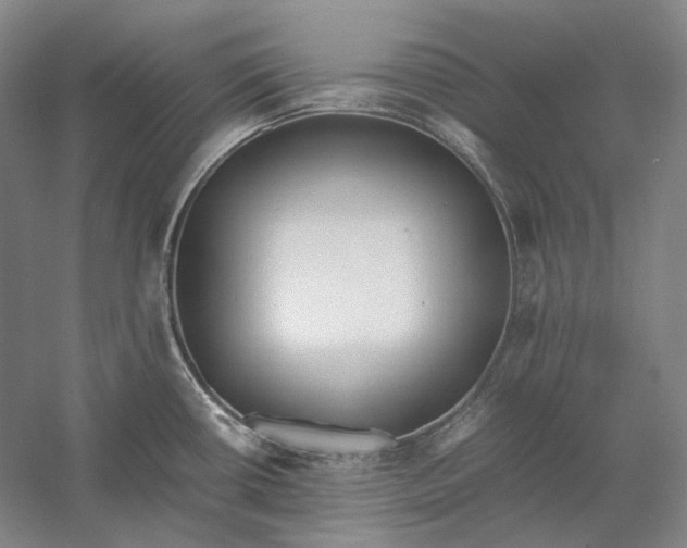 X0000060781434200512011627