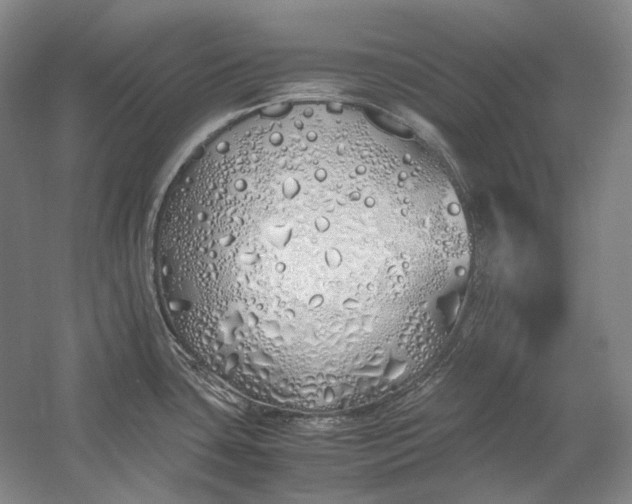 X0000060781435200512011627