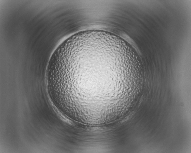 X0000060781436200512011627