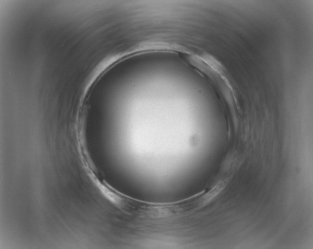 X0000060781438200512011627