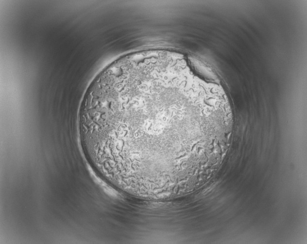 X0000060781439200512011627