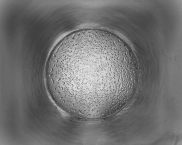 X0000060781440200512011627