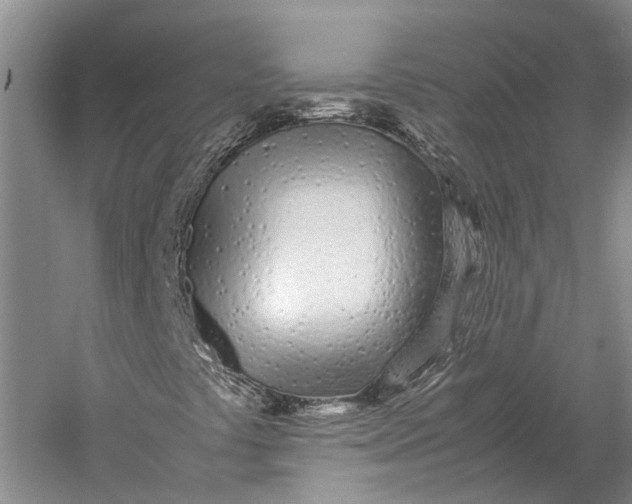 X0000060781441200512011626