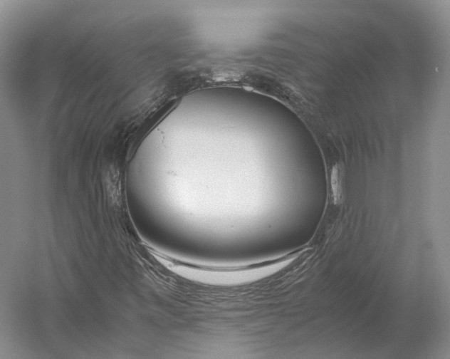 X0000060781443200512011626