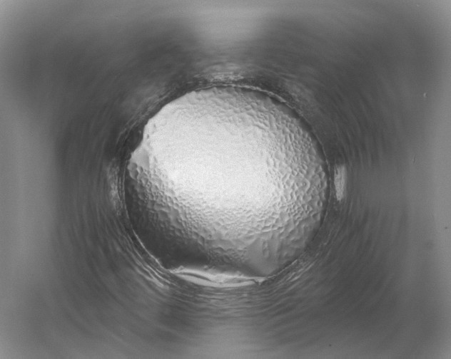 X0000060781444200512011626