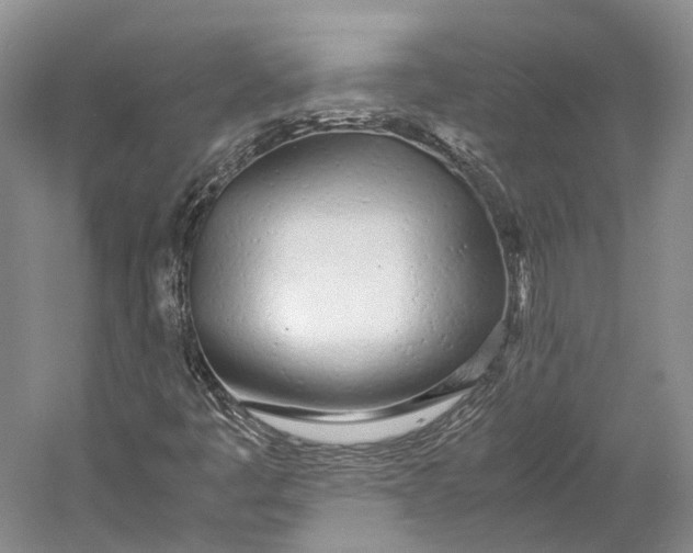 X0000060781445200512011626