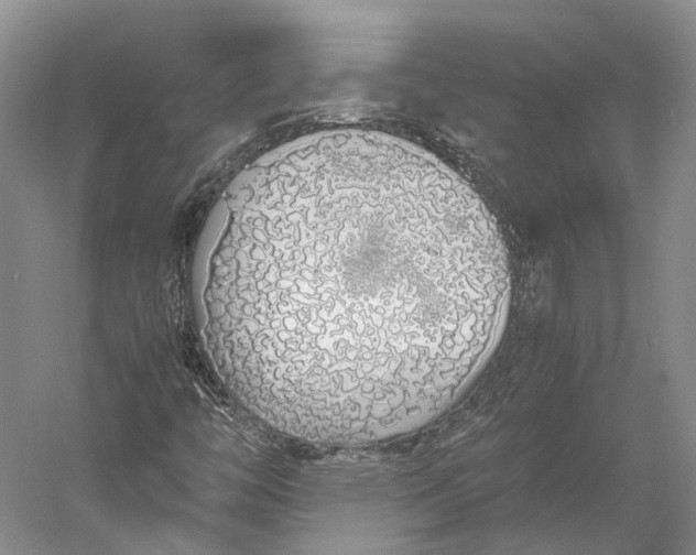 X0000060781446200512011626