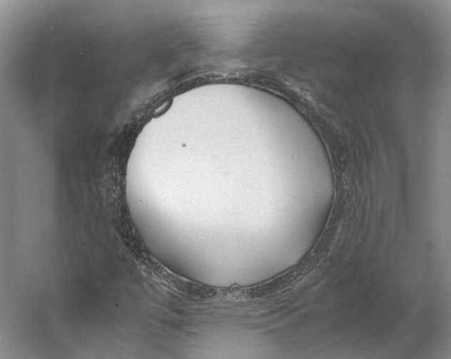 X0000060781447200512011626