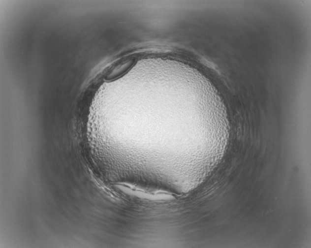 X0000060781448200512011626