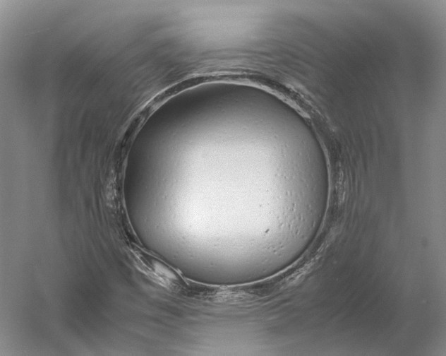 X0000060781449200512011626