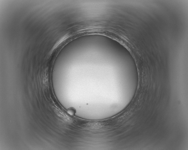 X0000060781450200512011626