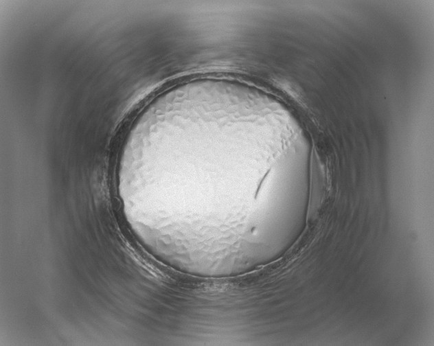 X0000060781452200512011626