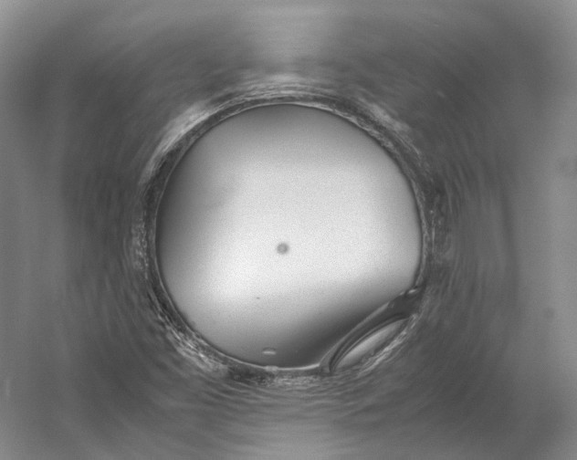 X0000060781453200512011626