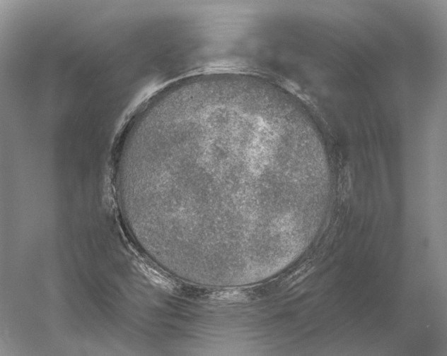 X0000060781454200512011626