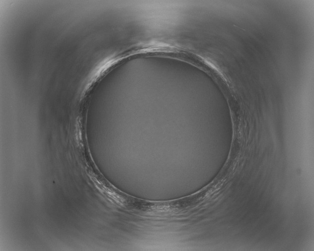 X0000060781455200512011626