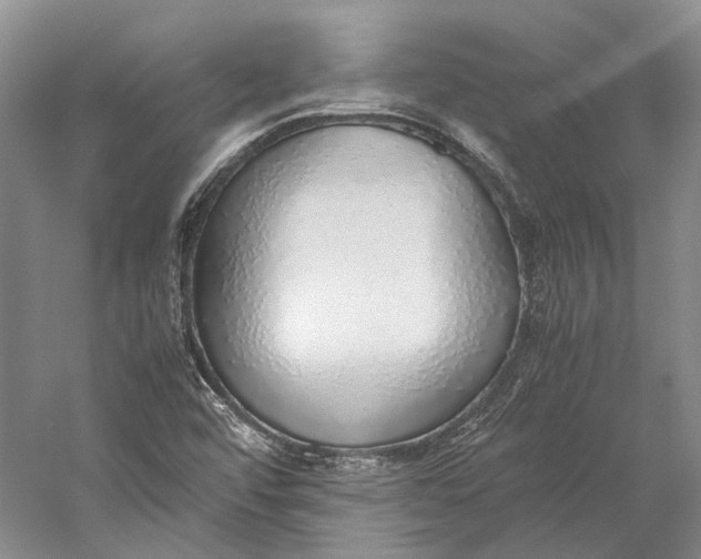 X0000060781456200512011626