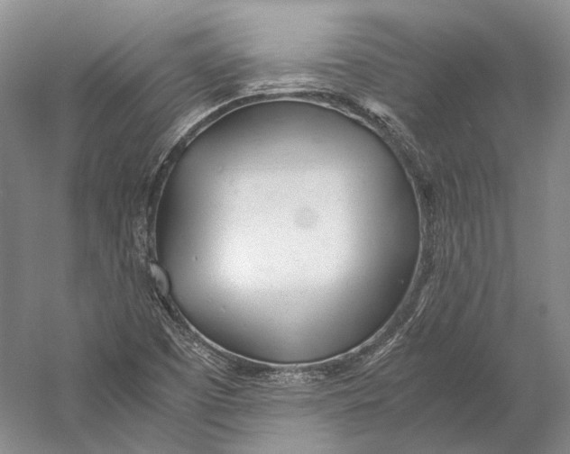 X0000060781457200512011626