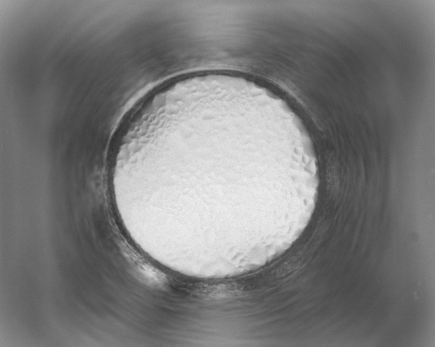 X0000060781460200512011626