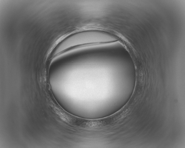 X0000060781461200512011626