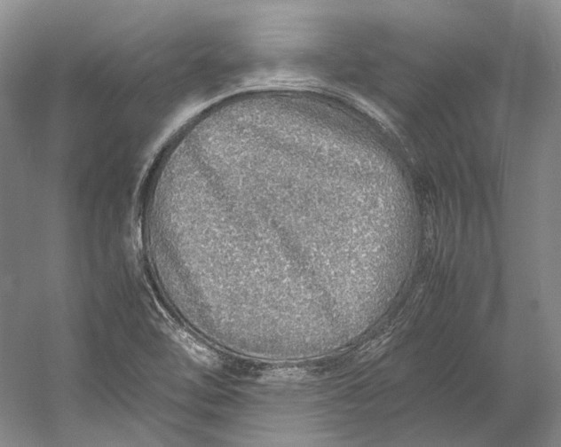 X0000060781462200512011626