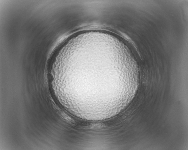 X0000060781464200512011626