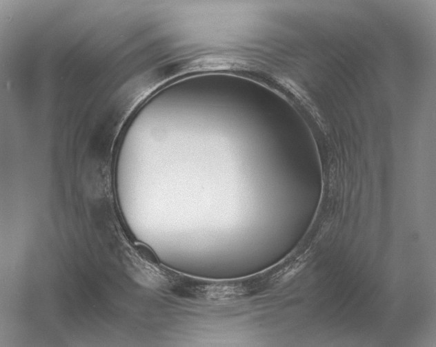 X0000060781465200512011625