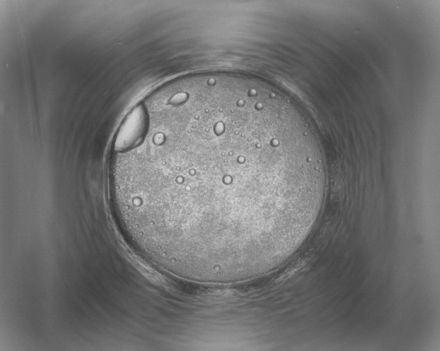 X0000060781467200512011625