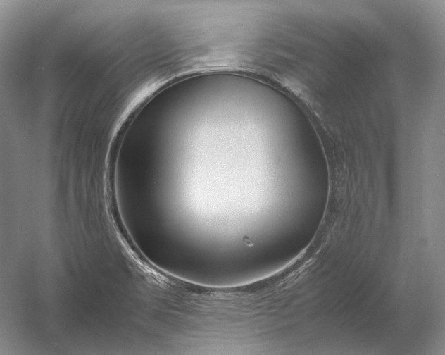 X0000060781469200512011625