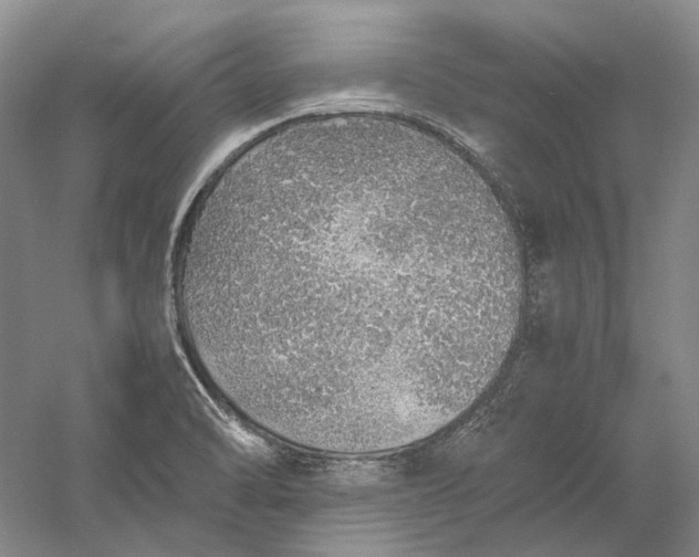 X0000060781470200512011625