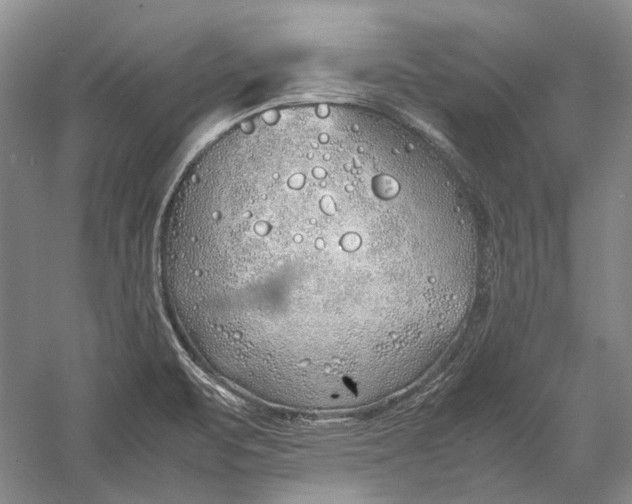 X0000060781471200512011625