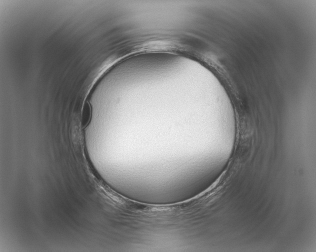 X0000060781473200512011625