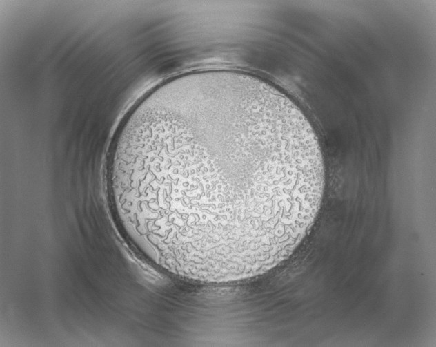 X0000060781474200512011625