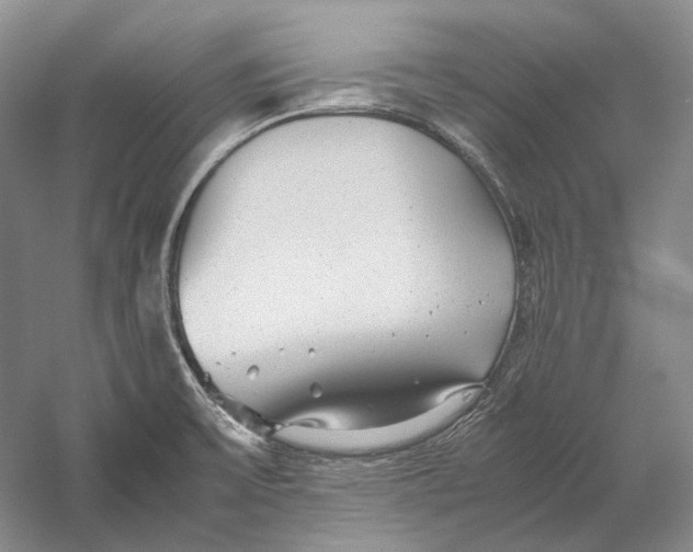 X0000060781475200512011625