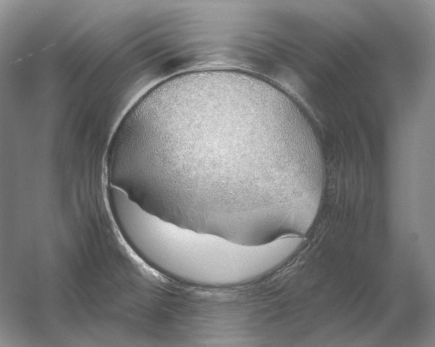 X0000060781476200512011625