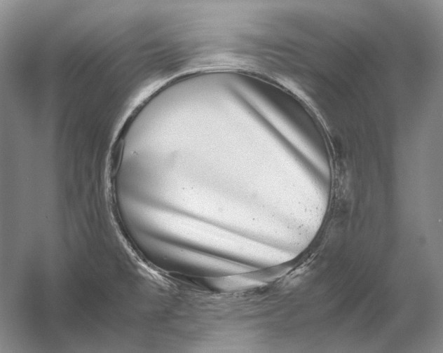 X0000060781477200512011625