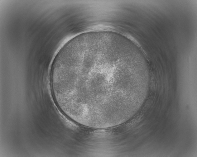 X0000060781478200512011625