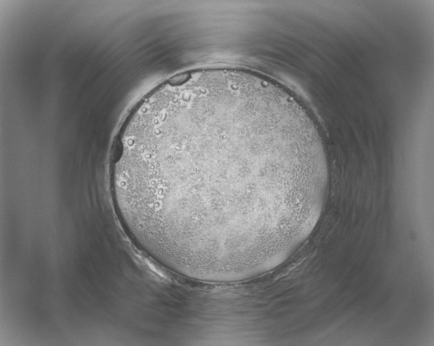 X0000060781480200512011625