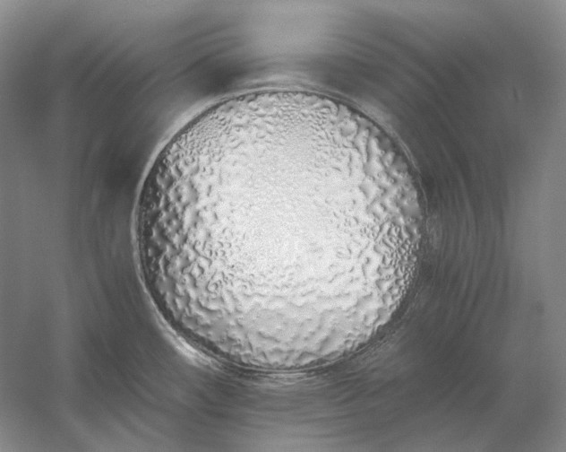 X0000060781482200512011625