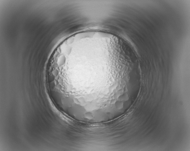 X0000060781483200512011625