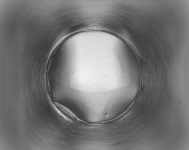 X0000060781484200512011625