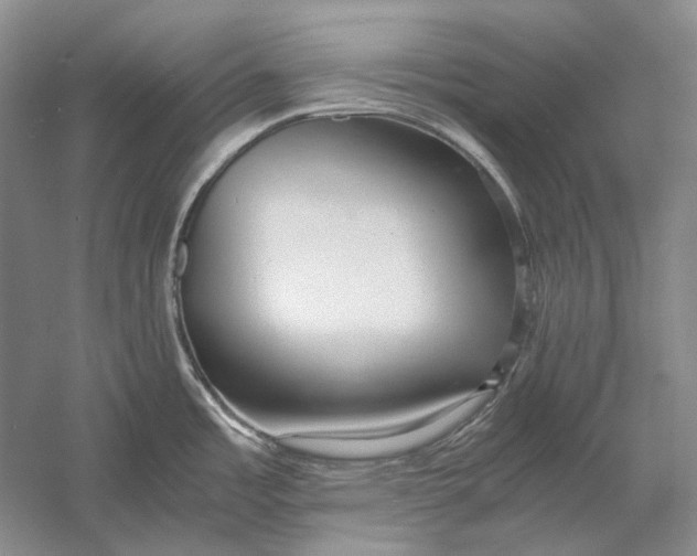 X0000060781485200512011625