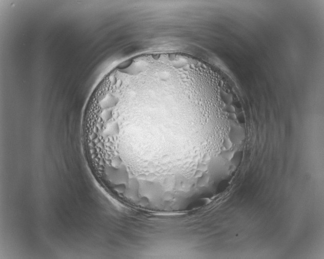 X0000060781487200512011625