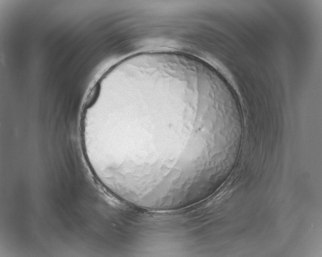 X0000060781488200512011625