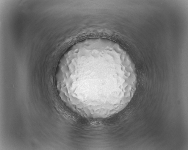 X0000060781489200512011624