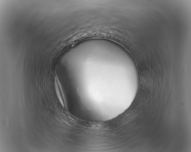 X0000060781490200512011624